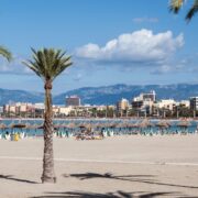 Mickie Krause Vermögen