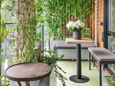 Immergrüne Kletterpflanze – Grüner Style für Balkon, Garten & Terrasse