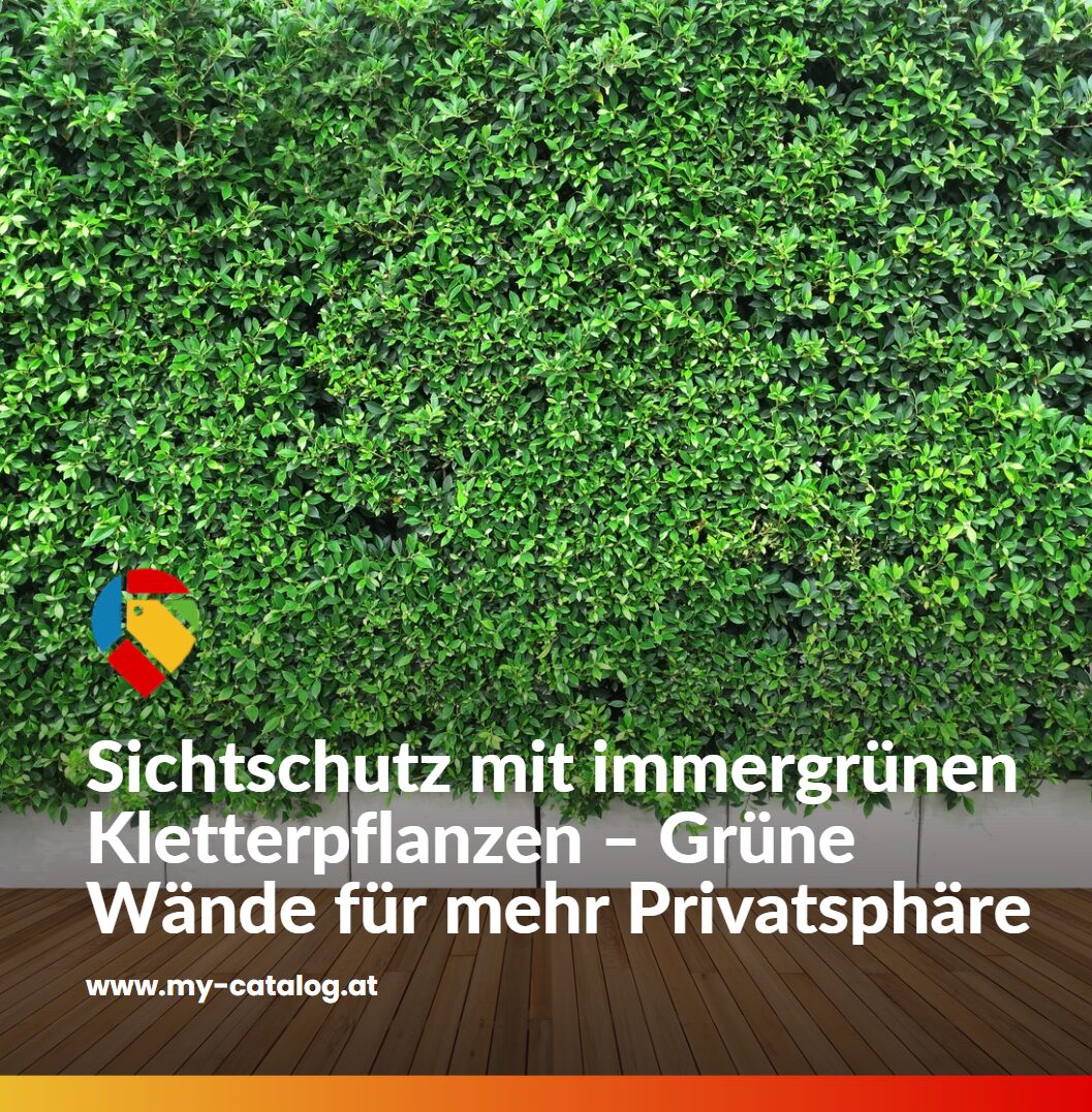 Sichtschutz mit immergrünen Kletterpflanzen – Grüne Wände für mehr Privatsphäre