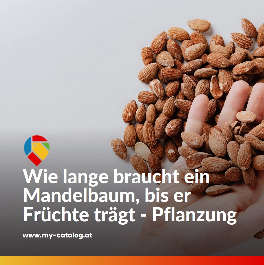 Wie lange braucht ein Mandelbaum, bis er Früchte trägt - die Pflanzung