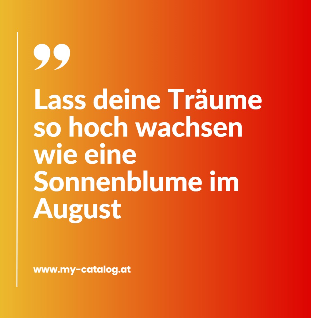 Lass deine Träume so hoch wachsen wie eine Sonnenblume im August