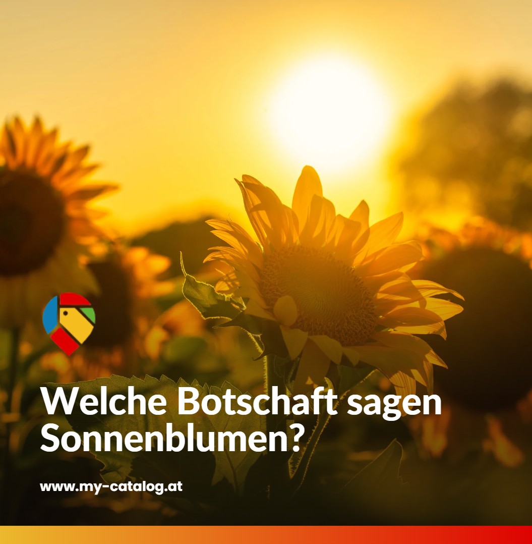 Welche Botschaft sagen Sonnenblumen