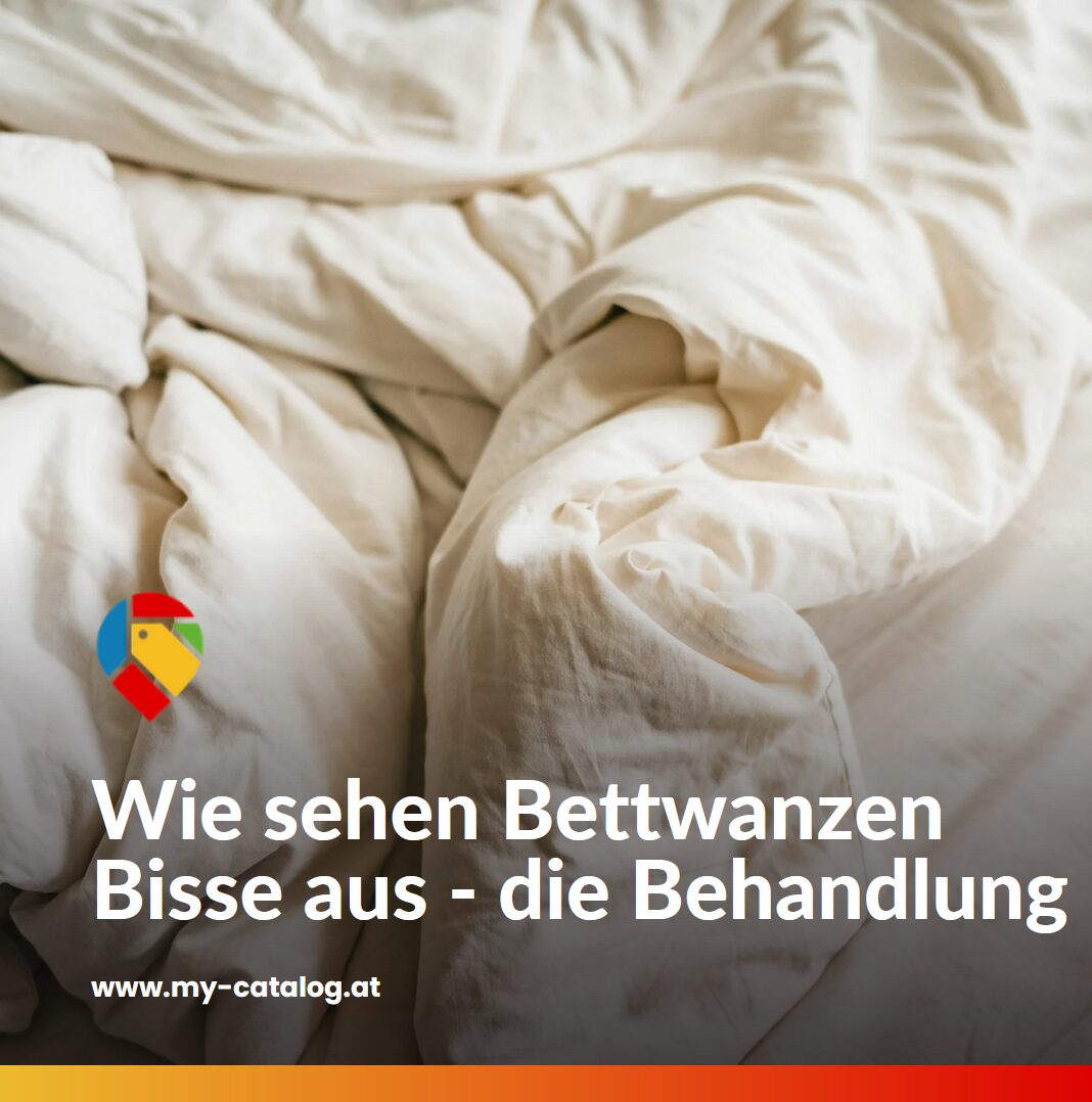 Wie sehen Bettwanzen Bisse aus - die Behandlung