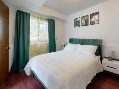 wie sehen bettwanzen bisse aus