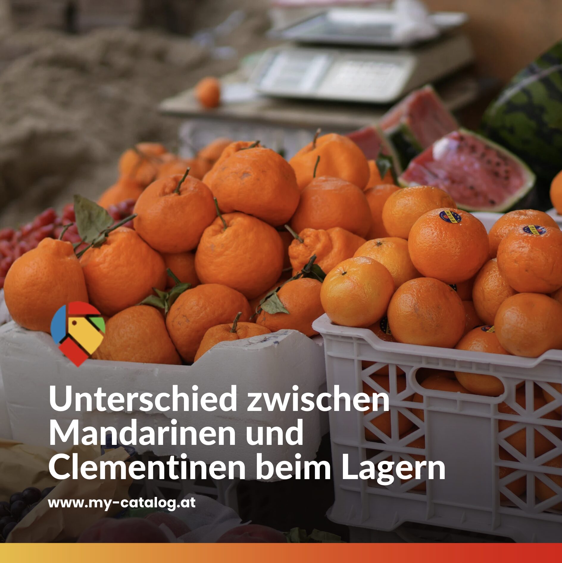 Unterschied zwischen Mandarinen und Clementinen beim Lagern