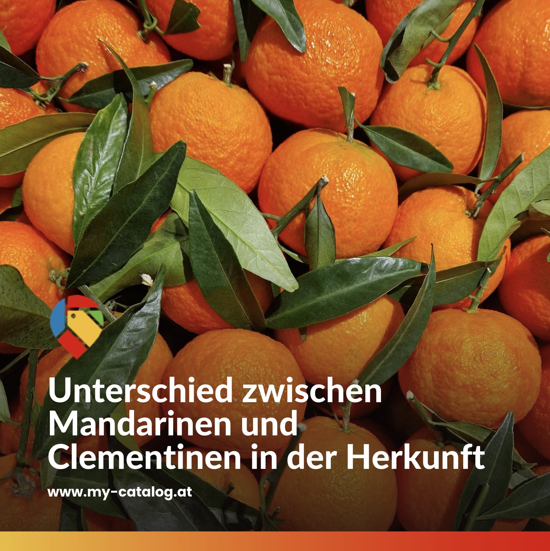Unterschied zwischen Mandarinen und Clementinen in der Herkunft