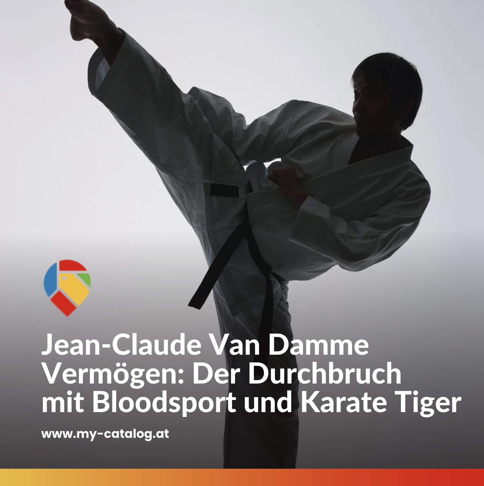Jean-Claude Van Damme Vermögen: Der Durchbruch mit Bloodsport und Karate Tiger Jean-Claude Van Damme Vermögen: Der Durchbruch mit Bloodsport und Karate Tiger