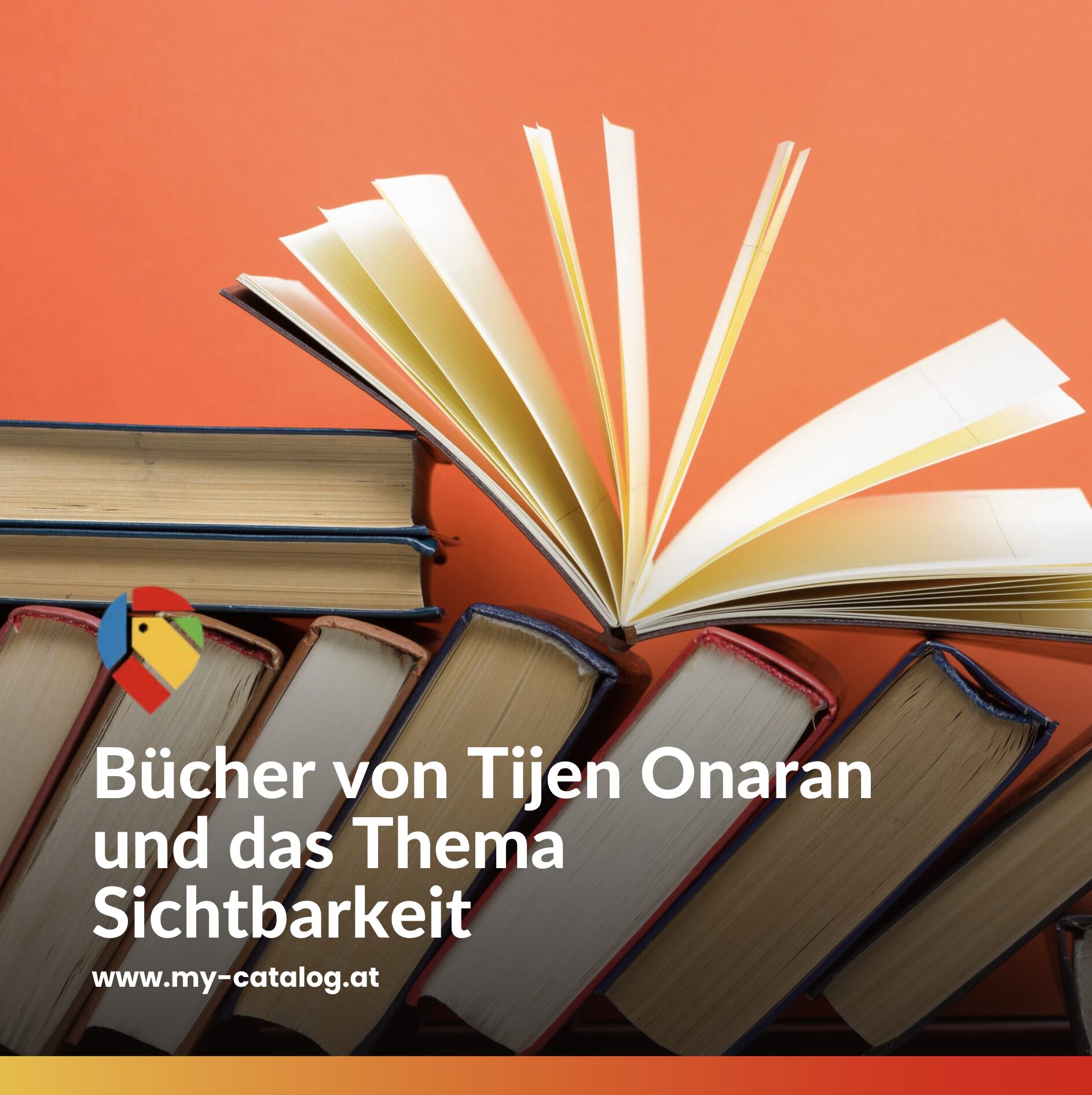 Bücher von Tijen Onaran und das Thema Sichtbarkeit Bücher von Tijen Onaran und das Thema Sichtbarkeit