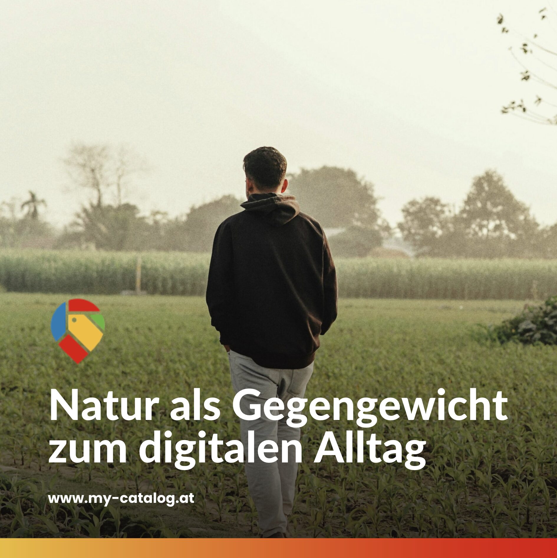 Natur als Gegengewicht zum digitalen Alltag
