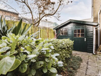 Reihenhaus mit schmalem, kleinem Garten gestalten